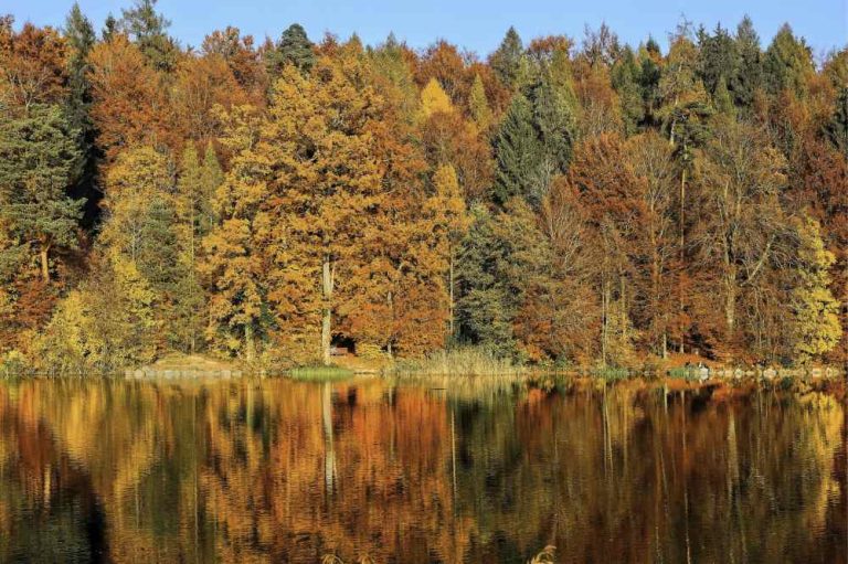 Places to see fall colors in Illinois.