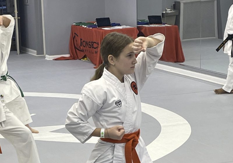 Evanston Martial Arts Centers.