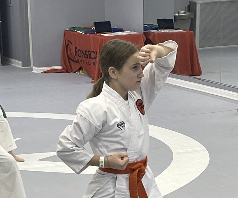 A Guide to Evanston’s Martial Arts Centers