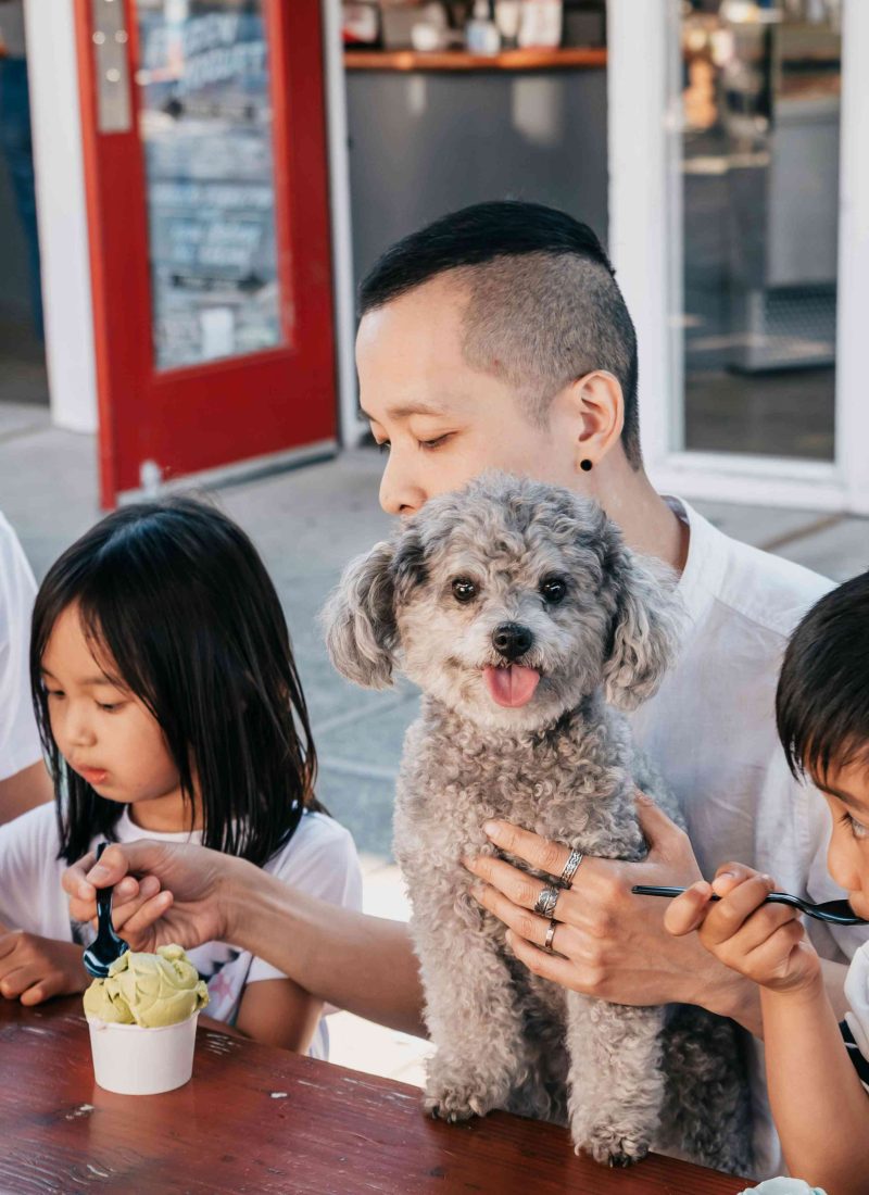 Family-Friendly Restaurants in Evanston