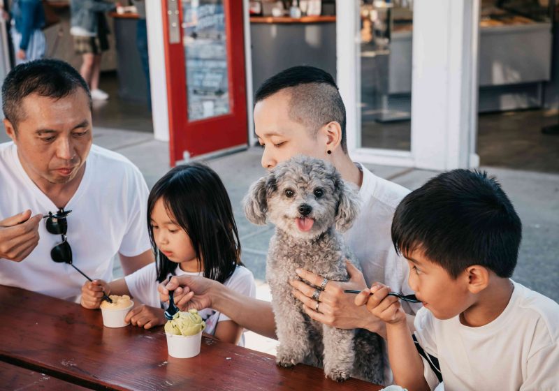 Family Friendly Restaurants in Eavnston.