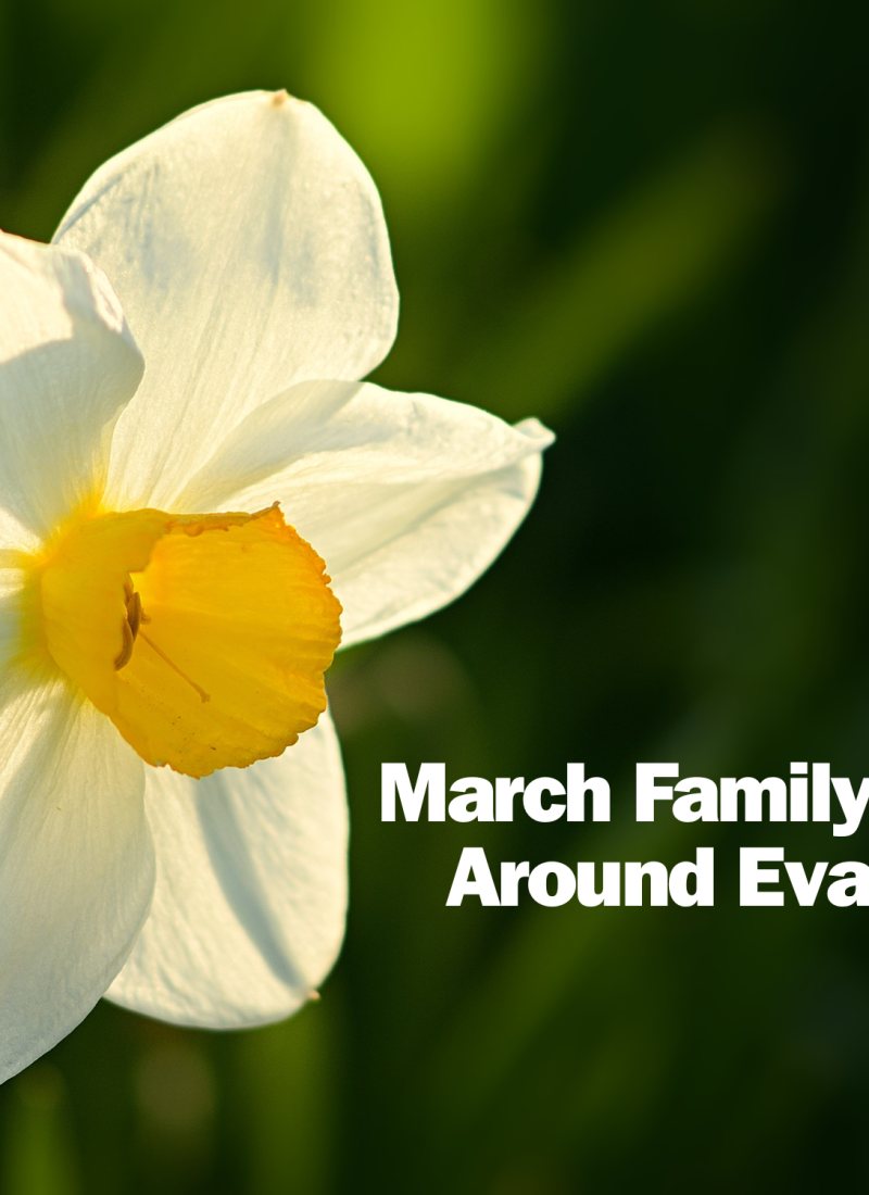March Family Events Around Evanston
