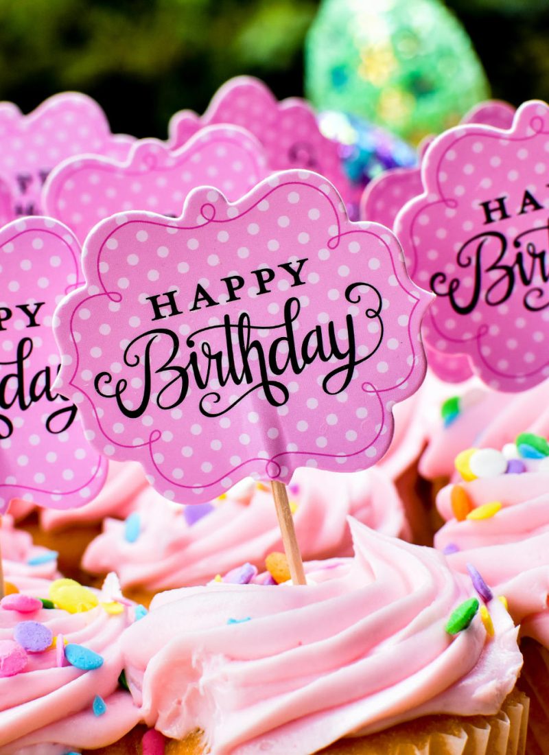 Birthday Party Venues for Kids in Evanston (Spring Edition)